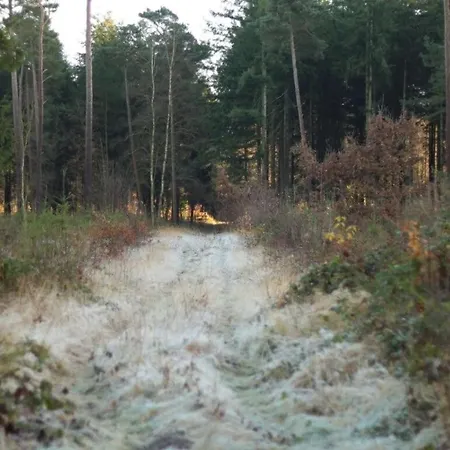 Apartment Feike Comfortable Vacation