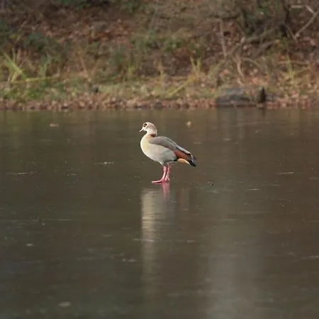 아파트 Feike Comfortable Vacation Zetel