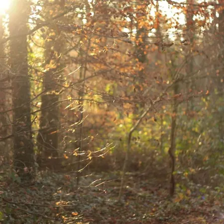 Feike Comfortable Vacation 아파트