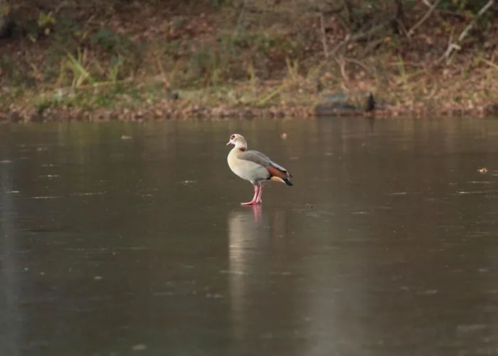 Feike Comfortable Vacation *