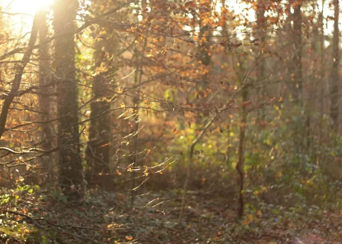 Feike Comfortable Vacation Appartement