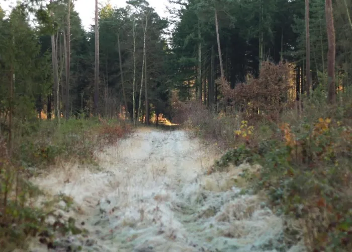 Feike Comfortable Vacation Appartement *